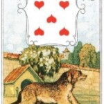 Карта Дня – СОБАКА