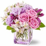 Прогноз taro на 2021 год от Натальи Семеновой